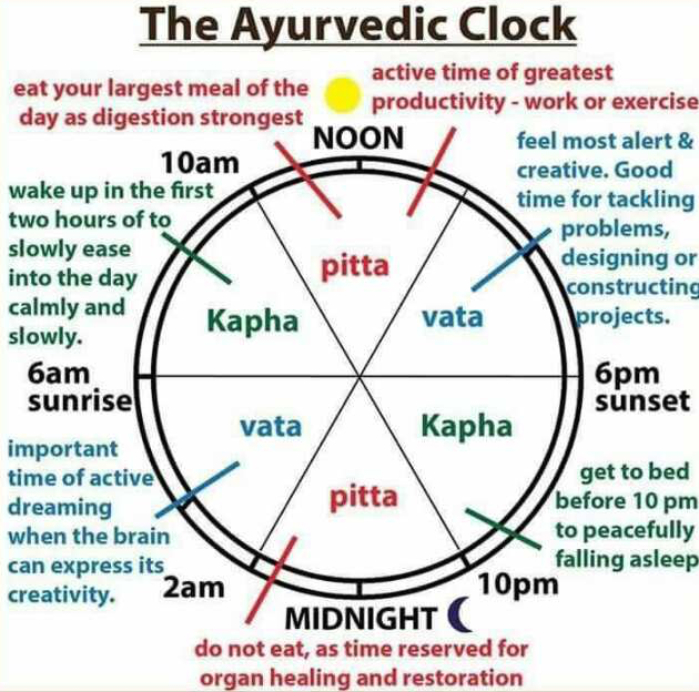 The Ayurvedic Clock