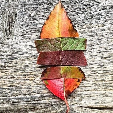 We Are All The Same / Completely Different