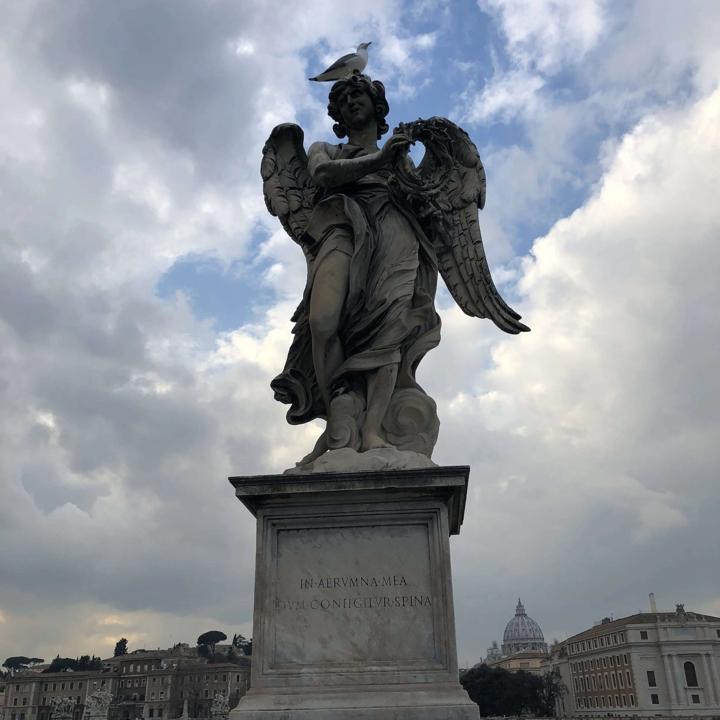 IMG_1171.jpeg