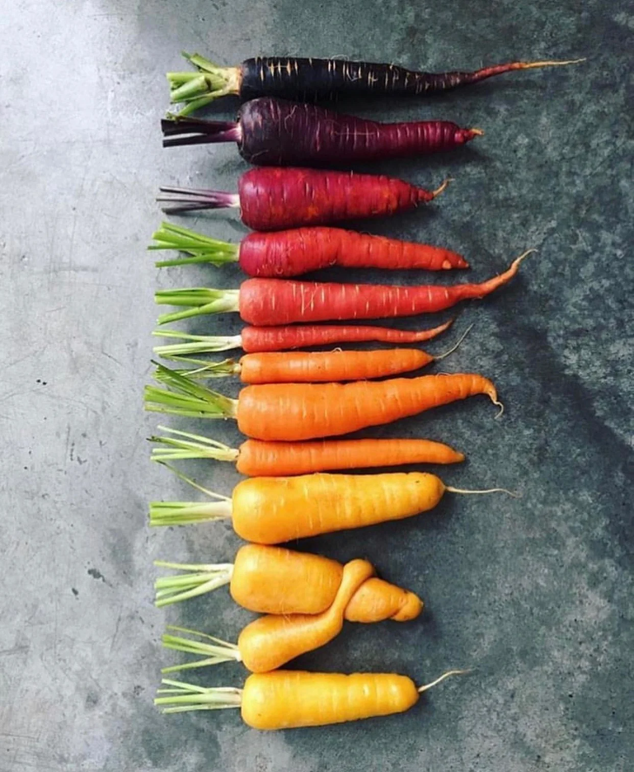 Fall Veggies Shopping Guide