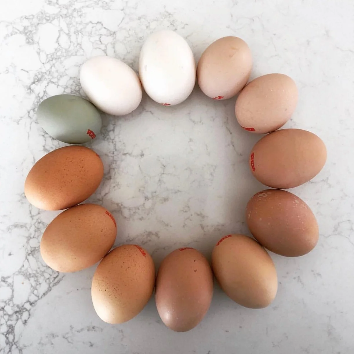 Do Eggs Give You High Cholesterol?