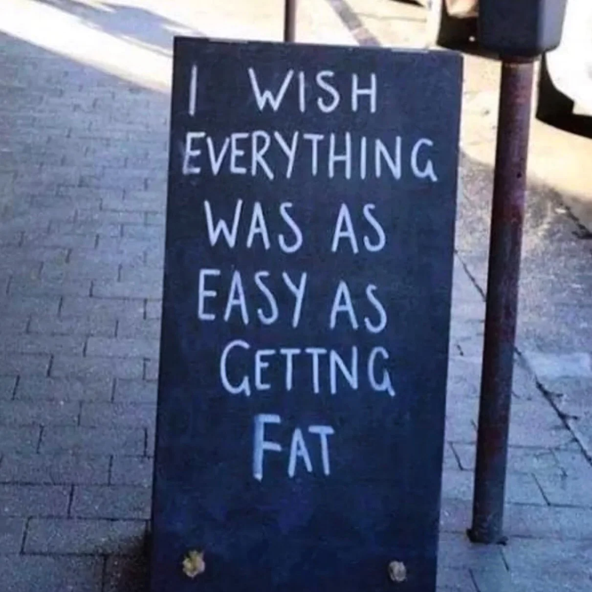 Why do we "get fat?"