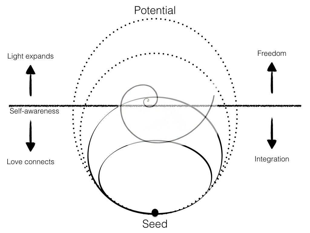 Figure 31: The role of Light and Love in volution