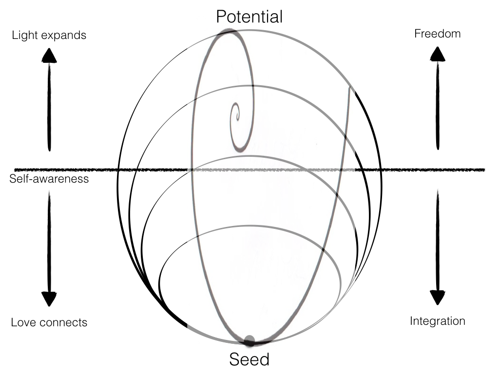 volution-torus-process.033.png