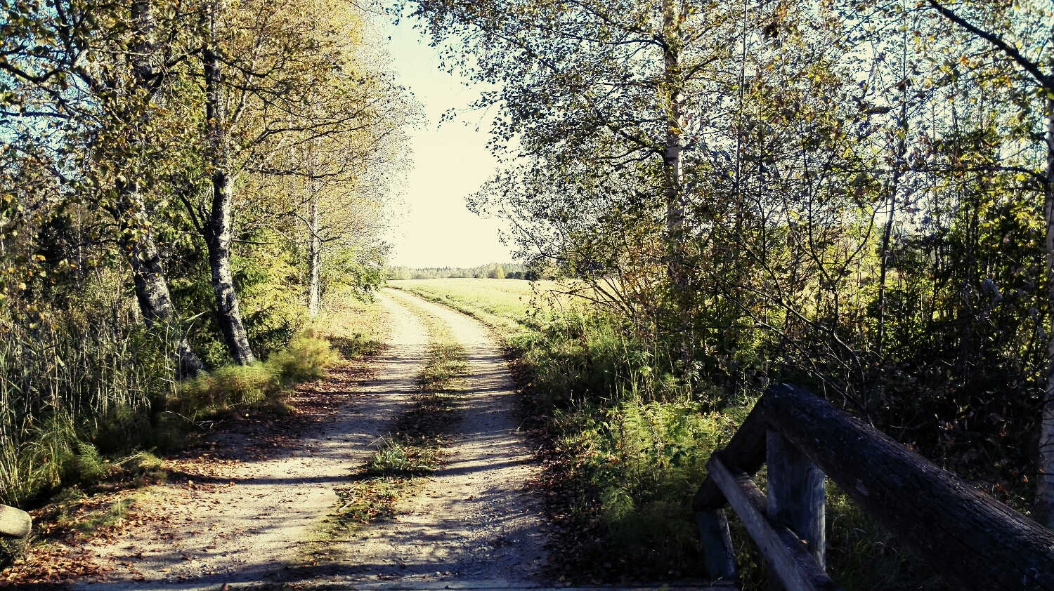 Puhumattakaan siitä tunteesta kun astut ovesta ulos ja tiedät, että voit lähteä mihin tahansa suuntaan ja edessäsi odottaa upeat lenkkimaastot. 