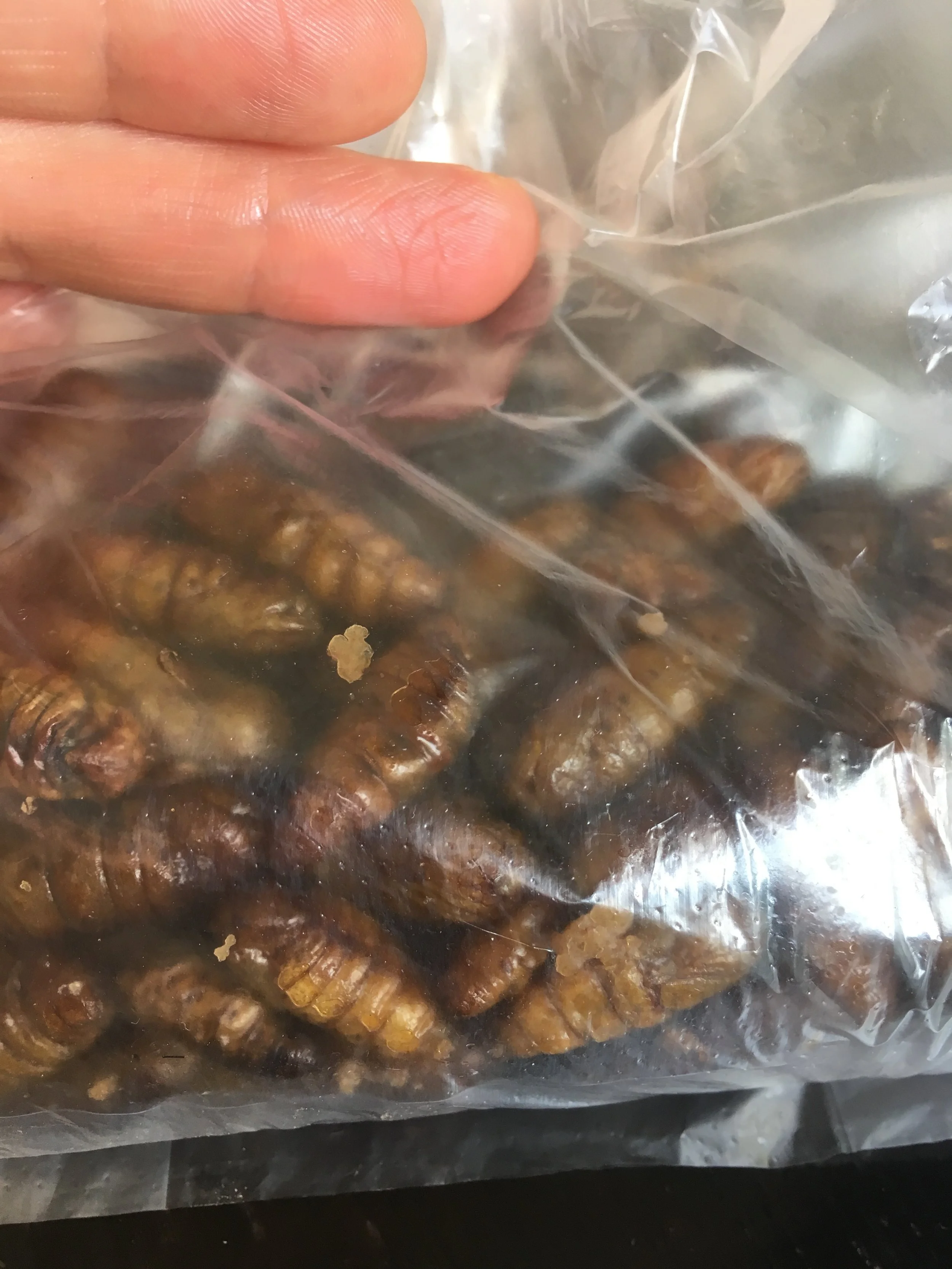 Basaarireissut kostautuivat reissun loppupuolella, kun oli turvauduttava oman pihan antimiin.. 