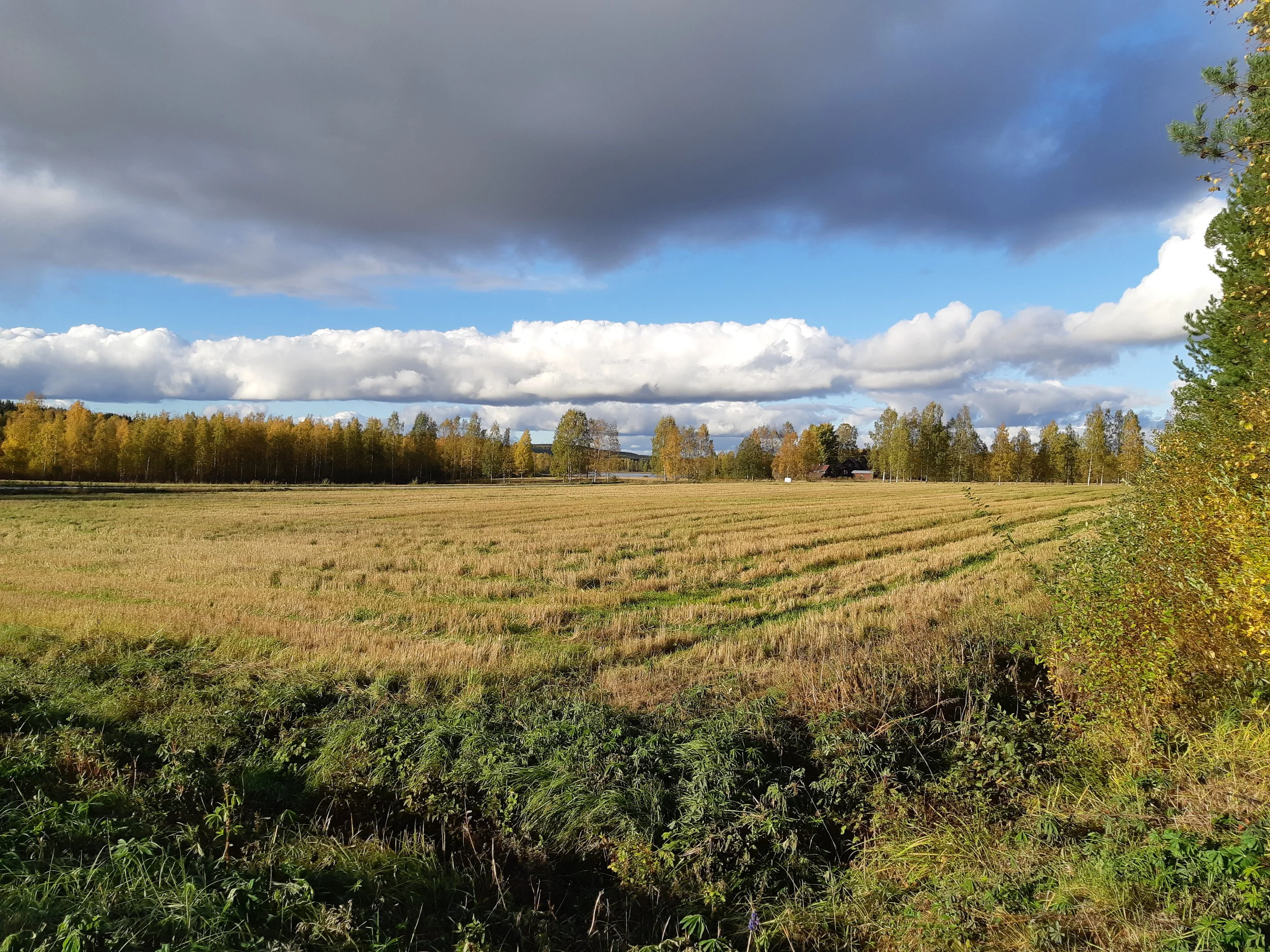 20181002_162144.jpg