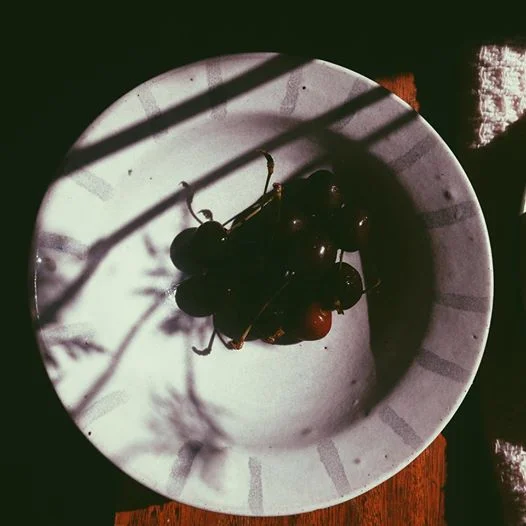 Summer's first cherries from Grown & Gathered