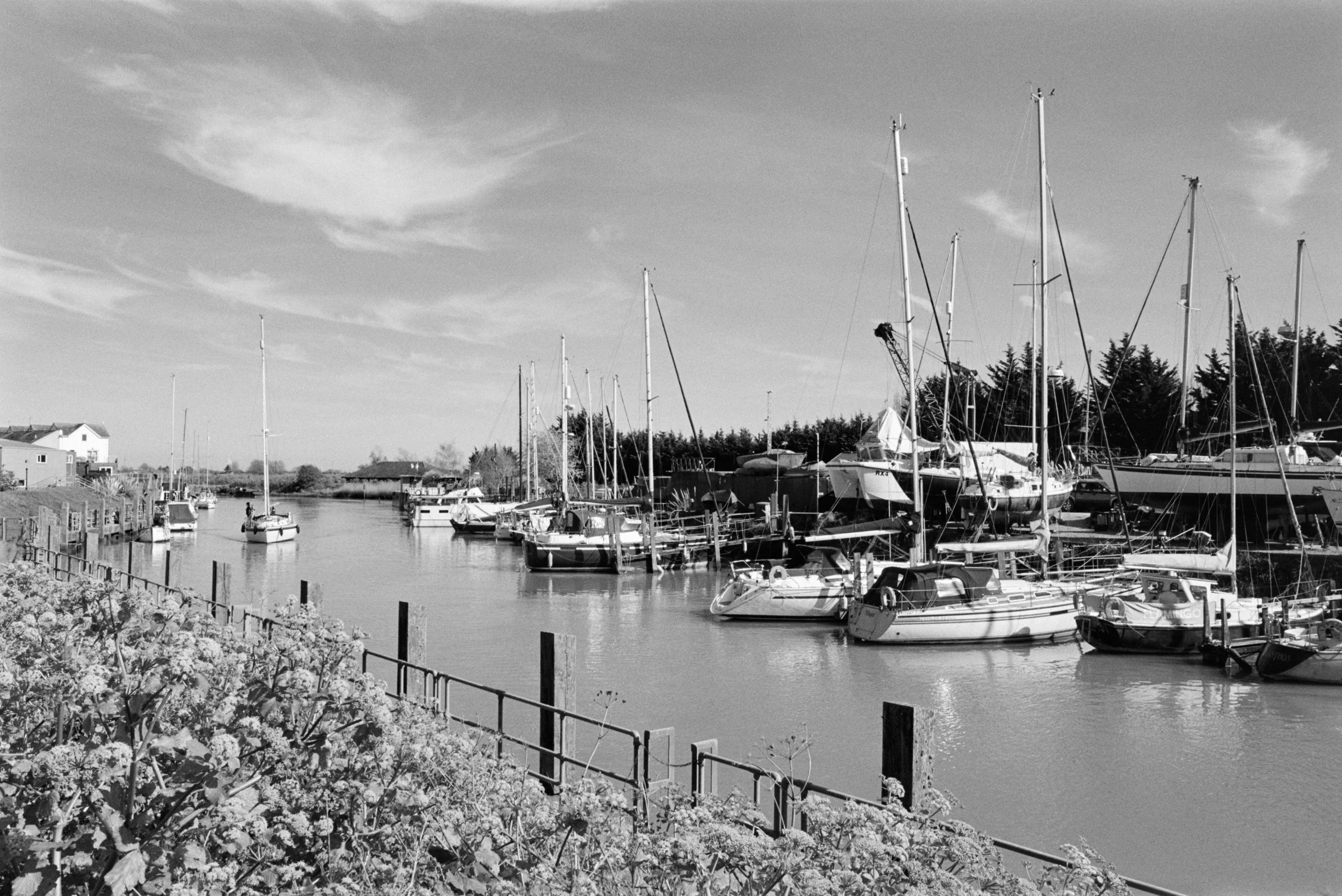 River Brede Rye East Sussex.jpg