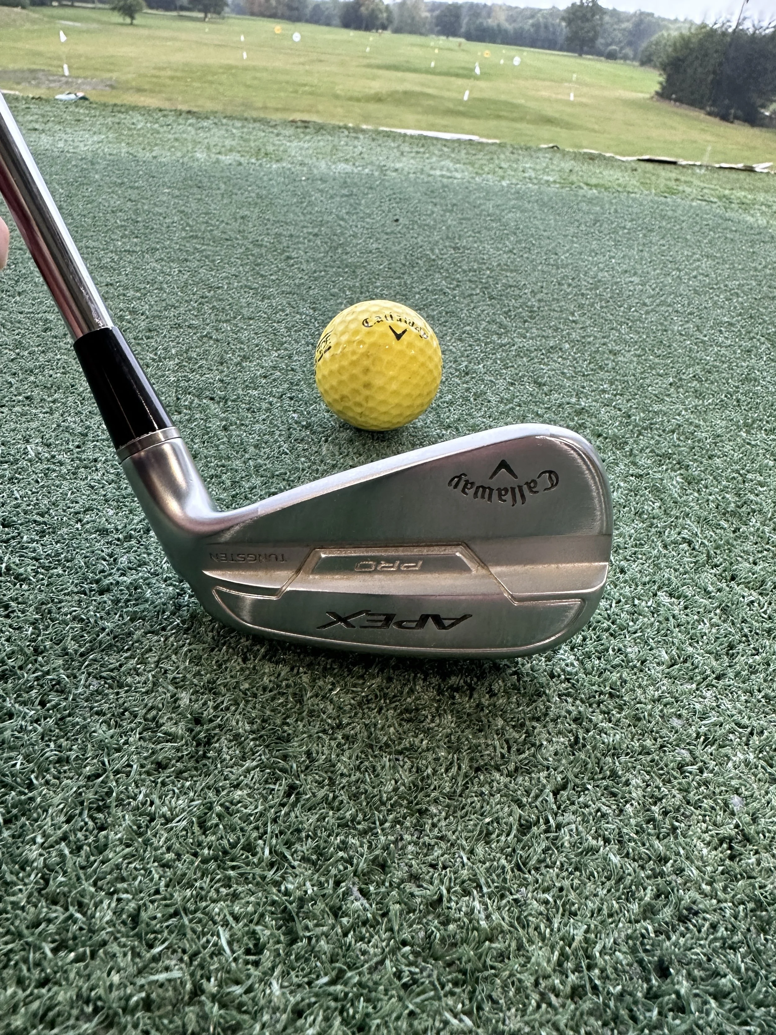 1CDE6879-2B58-4367-84C6-65B07CD28CE6.jpeg (Copy)