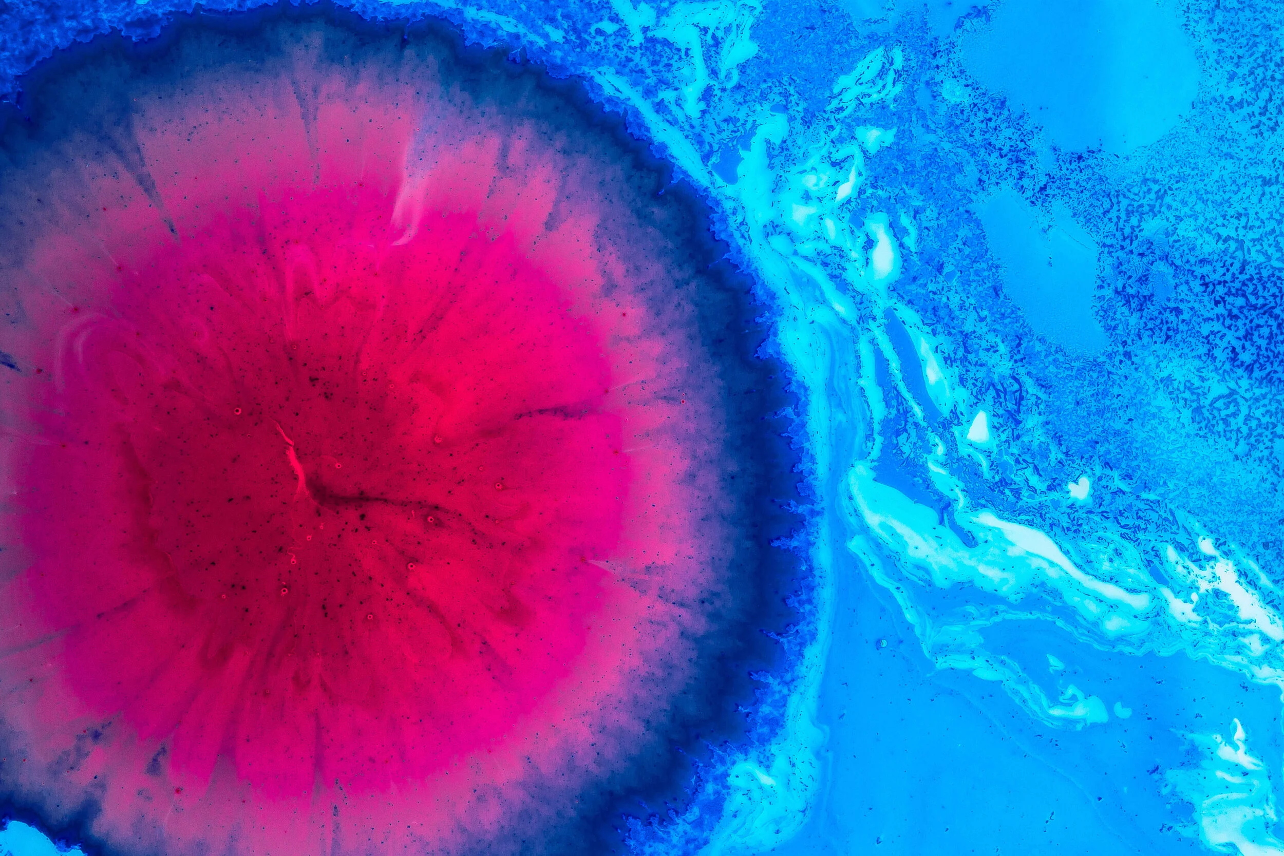 1. Life- nothing personal.jpg