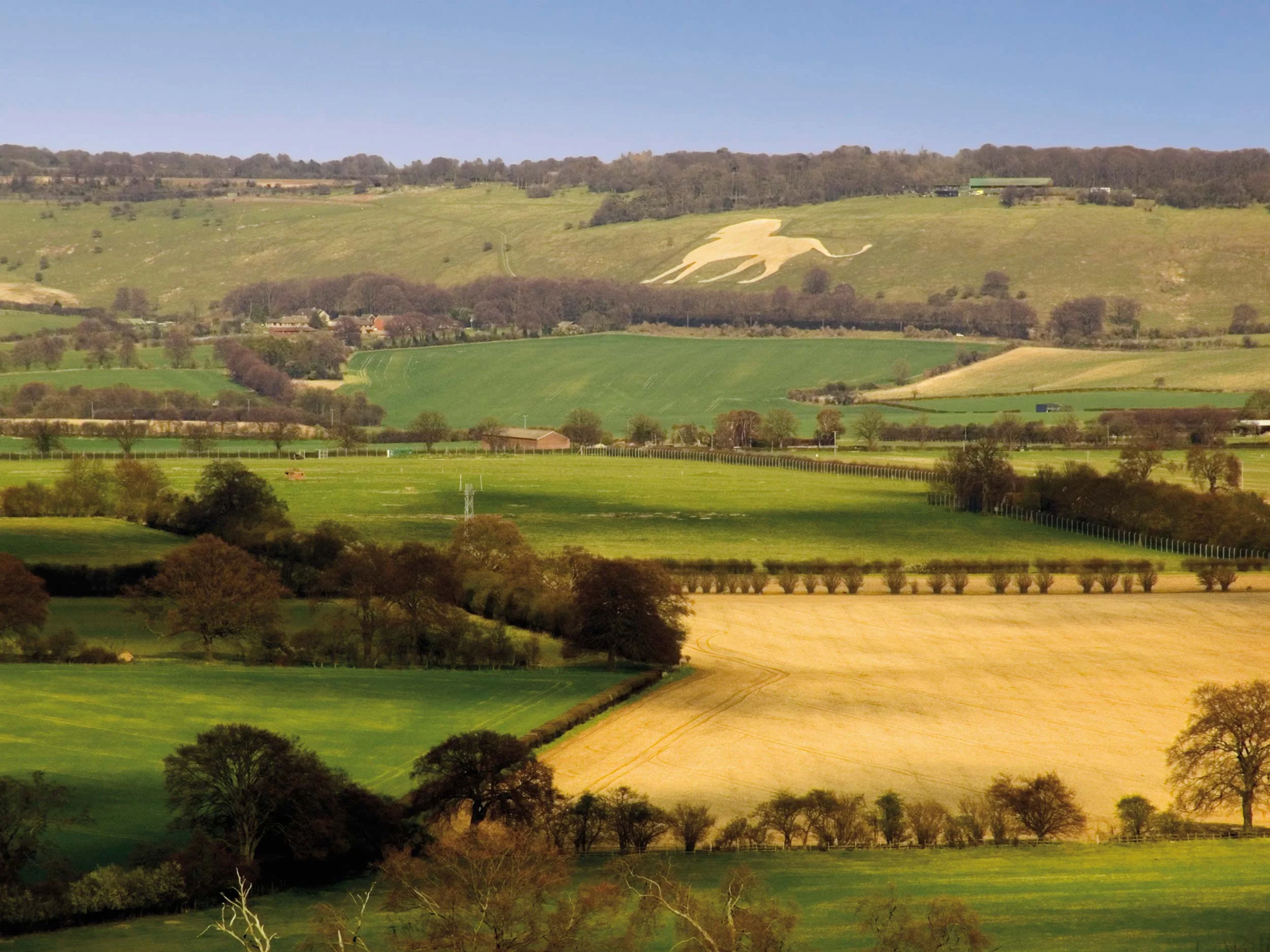 The Chilterns Britain s Top 50 Adventure Locations Marvellous Maps