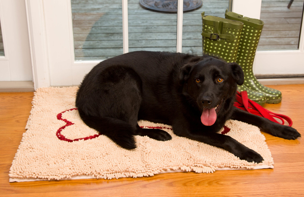 Soggy Doggy Doormat — Happy Hound