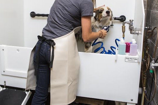 Dog Wash 3.jpg