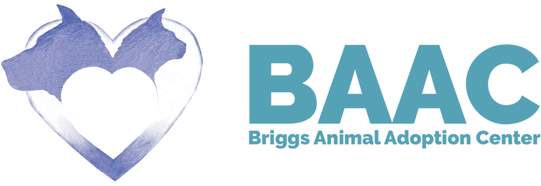 BRIGGS Adoption Event 