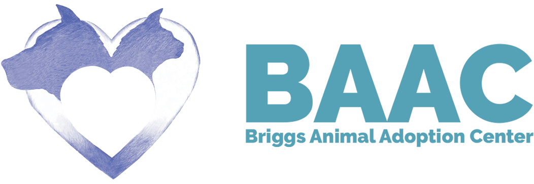 BRIGGS Adoption Event