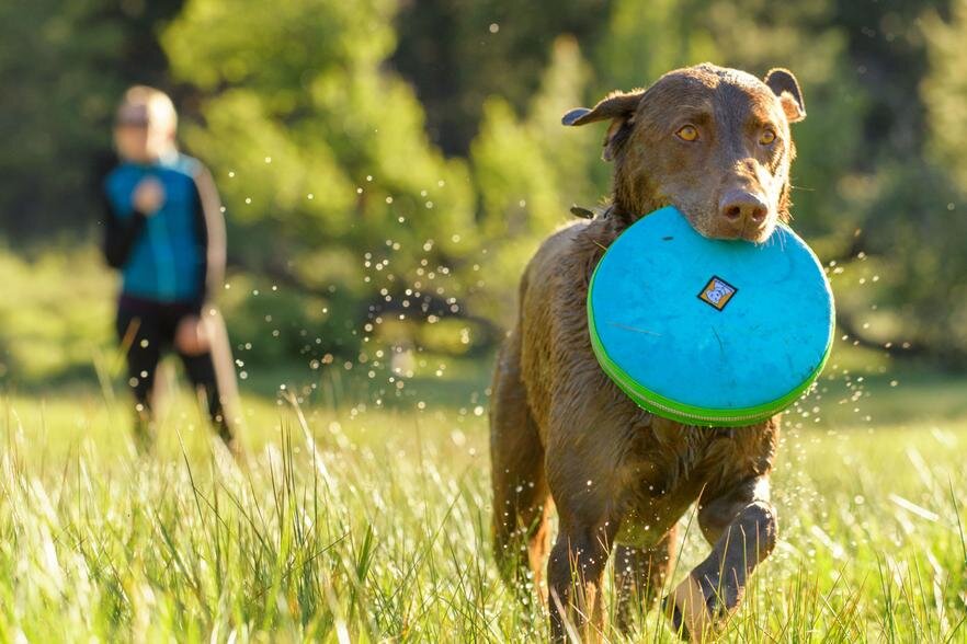 RUFFWEAR Hover Craft Toy 