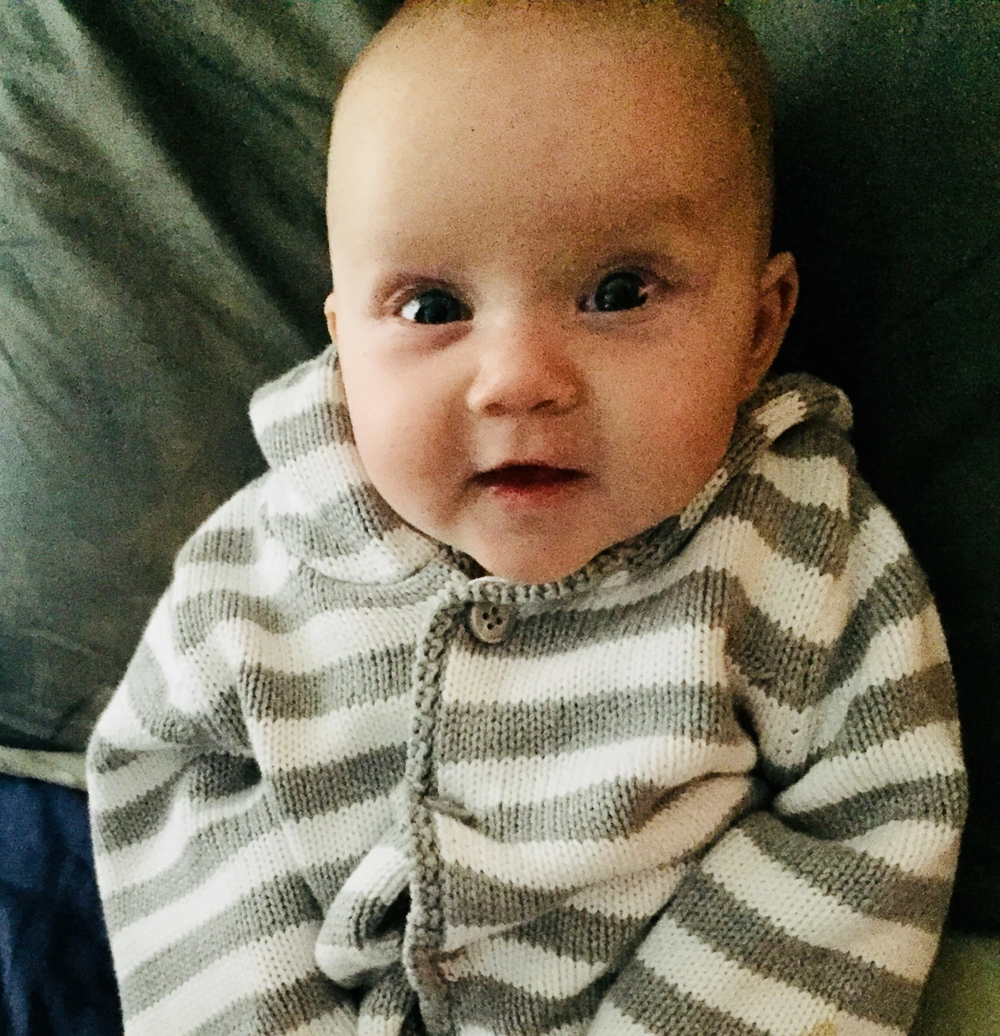 Evie 10.16.17.jpg
