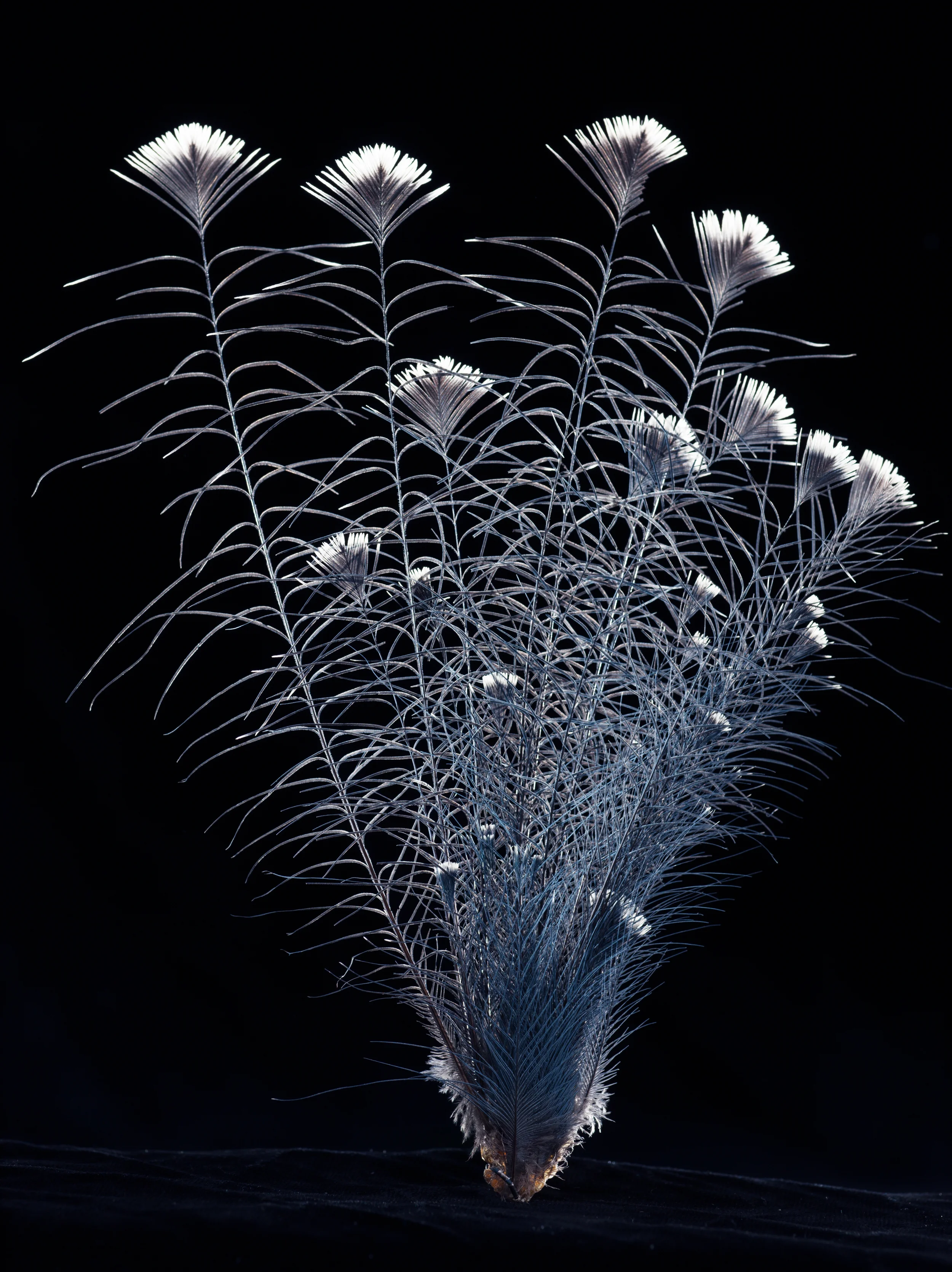 MM7482_091023_000682-Edit.jpg