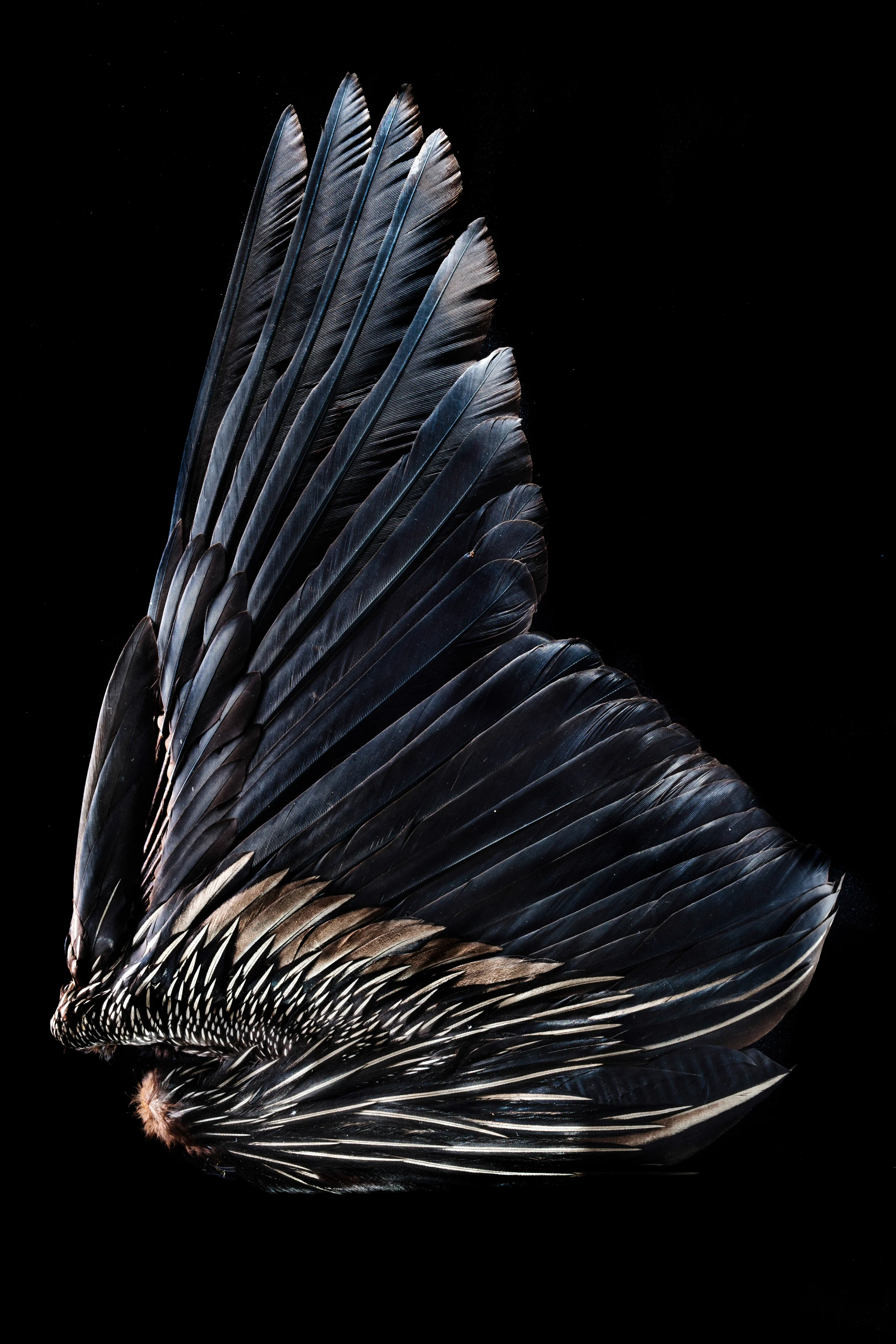 MM7482_100630_008654-Edit.jpg