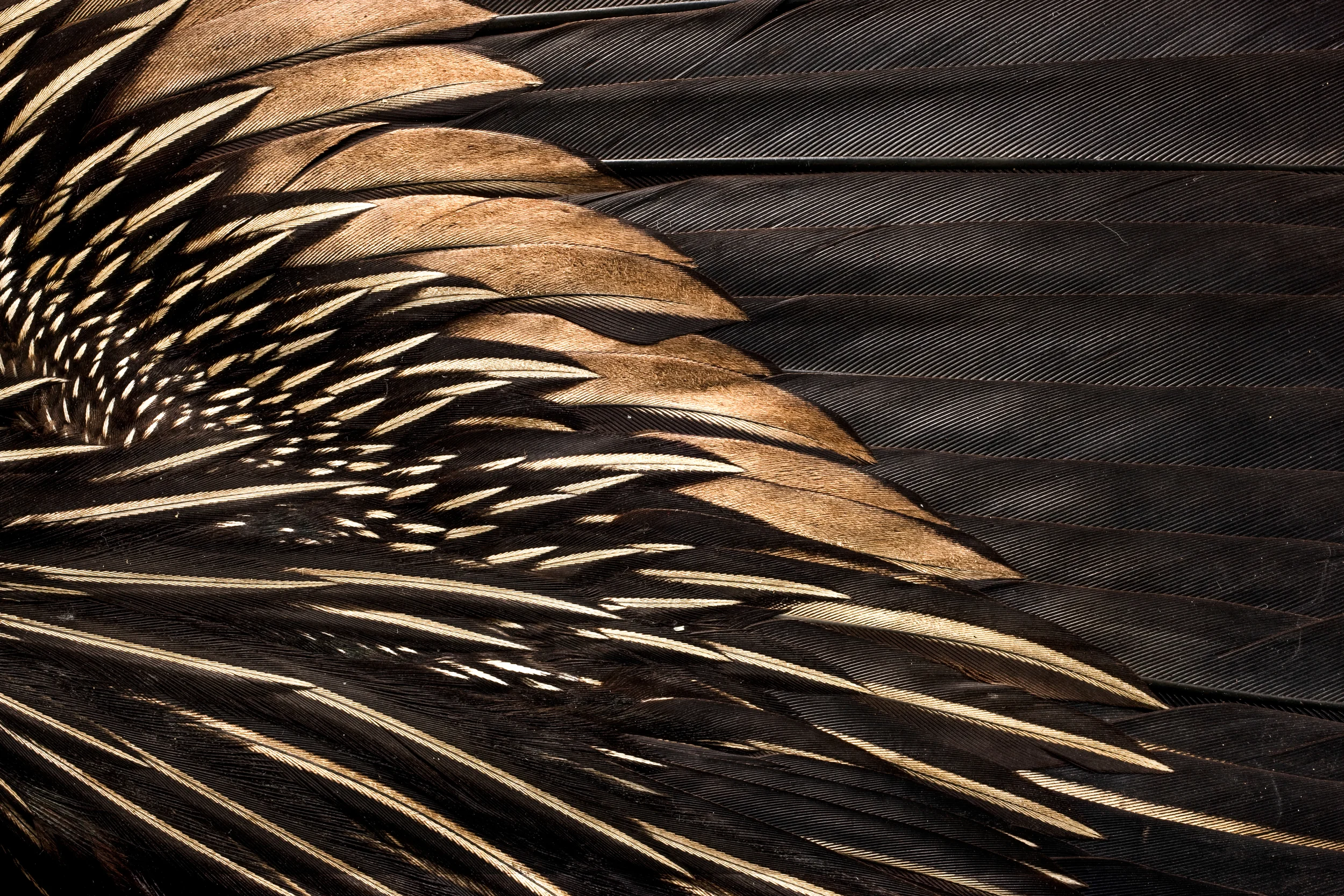 MM7482_100630_008642-2.jpg
