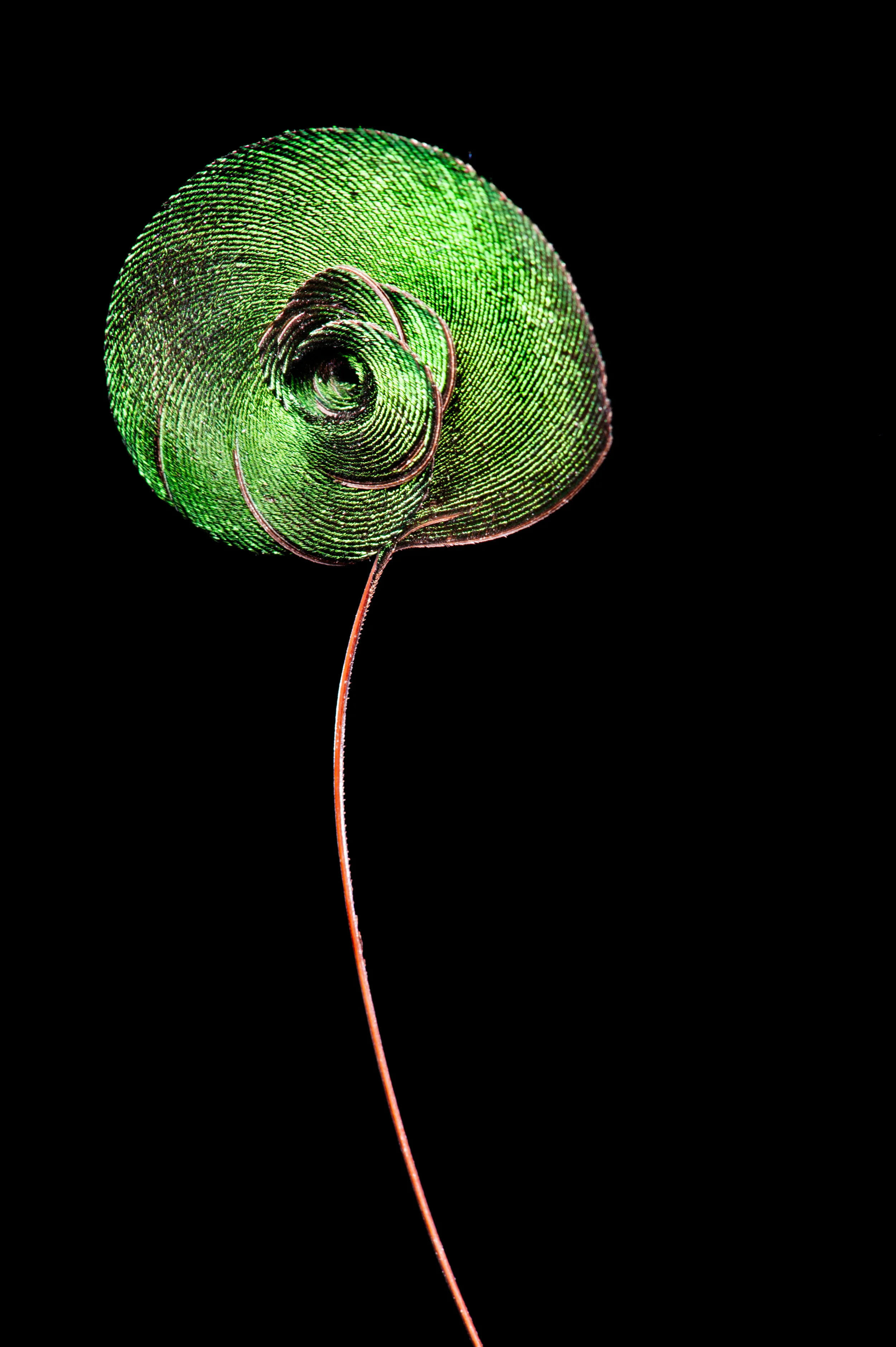 MM7482_100821_13516.jpg