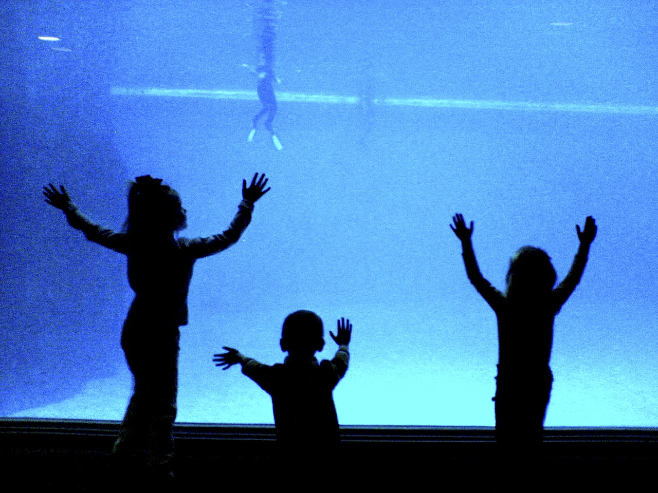 field_museum1_002.jpg