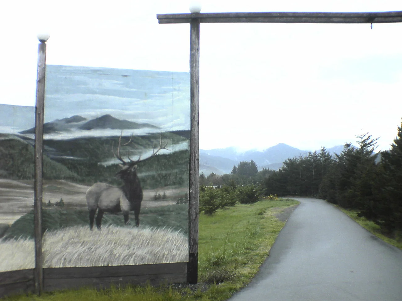port_orford_031.jpg