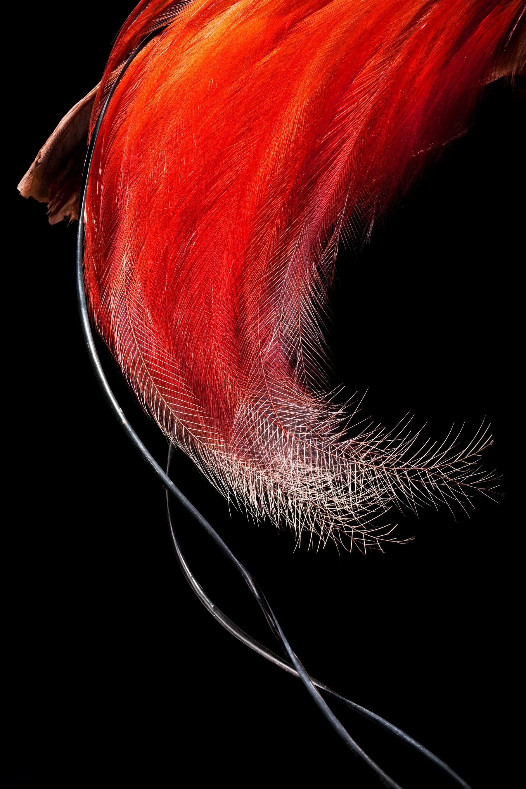 MM7482_100630_008532.jpg