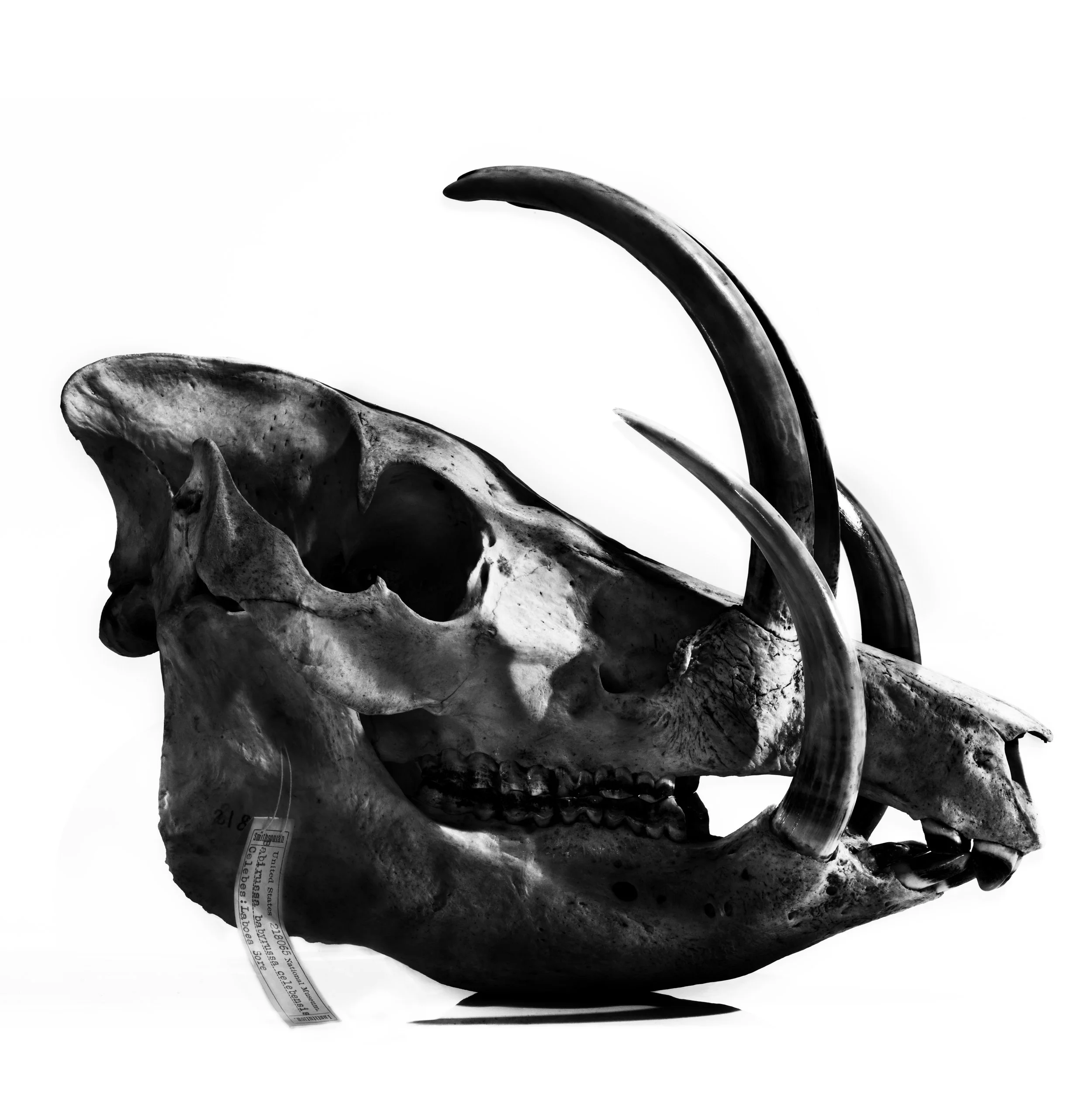 MM7553_080313_03622.jpg