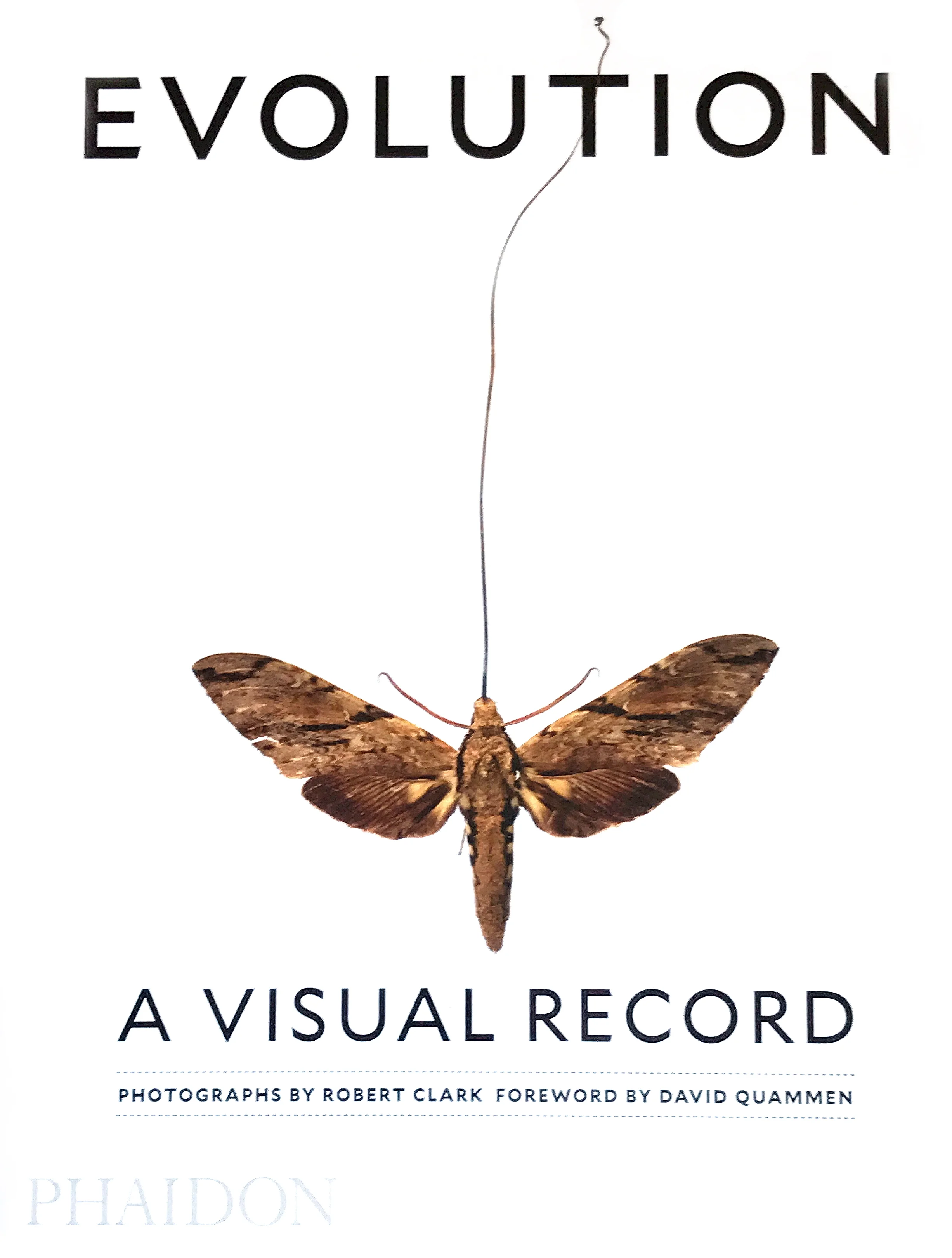 Cover2.jpg