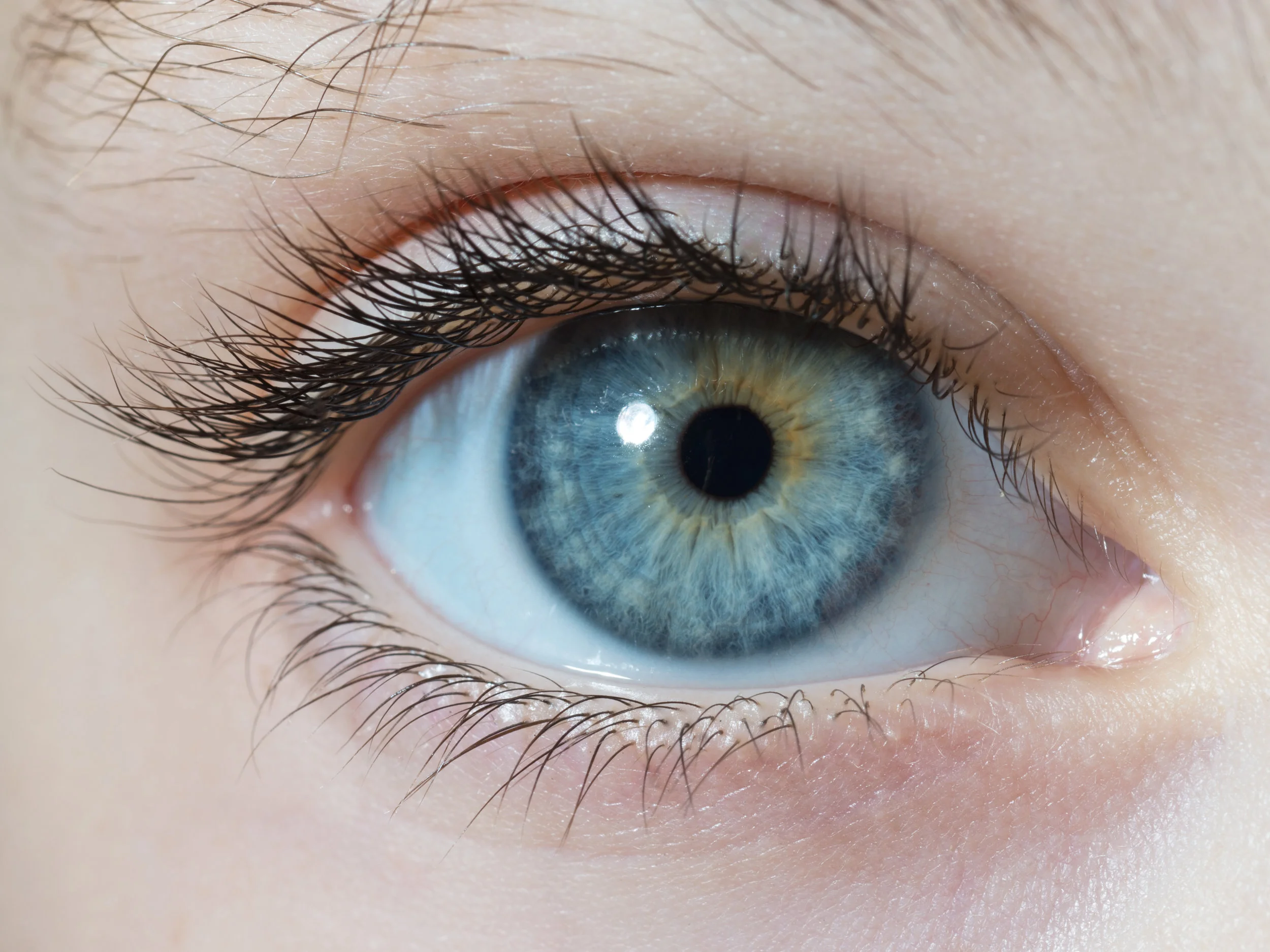 EYE Shoot 10-27-159166_001 copy.jpg