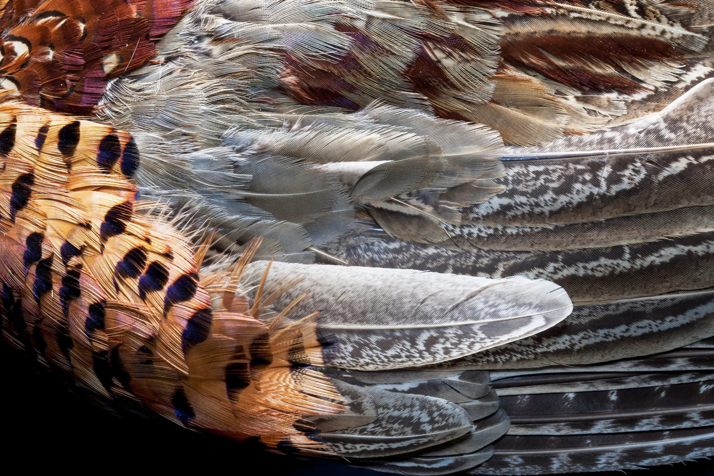 MM7482_100618_007516-Edit.jpg