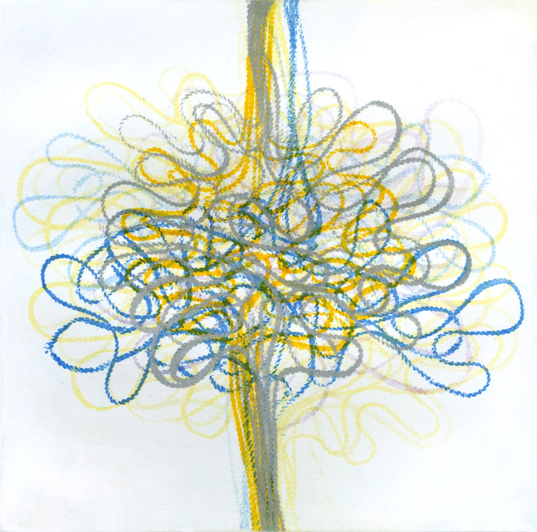 Fine Cord