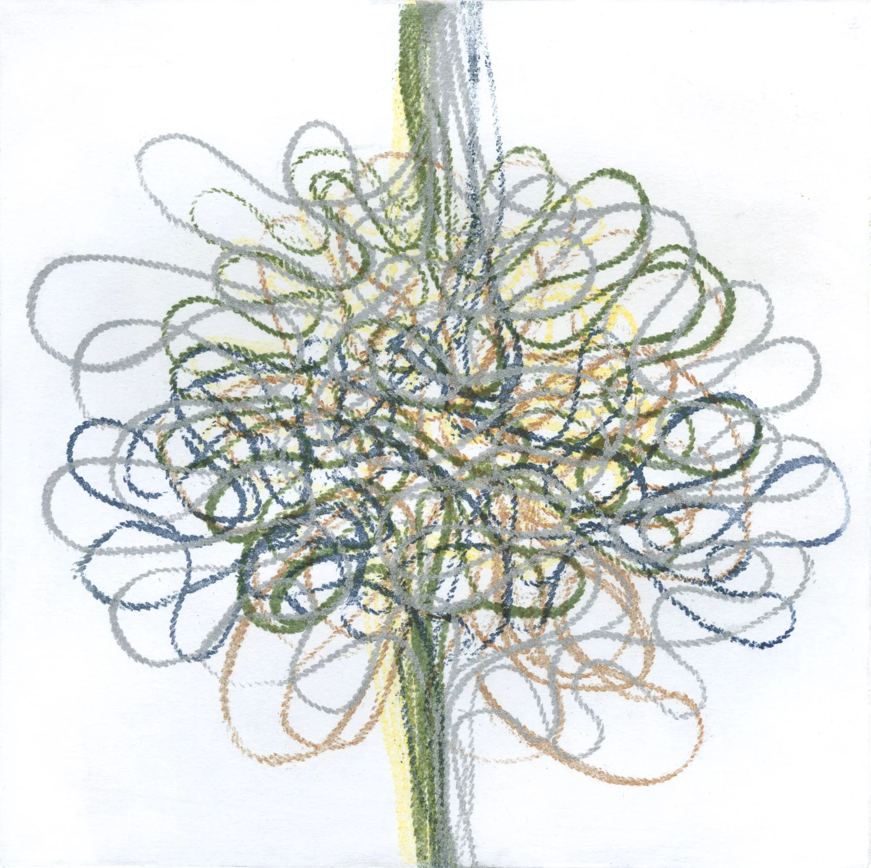 Fine Cord 62
