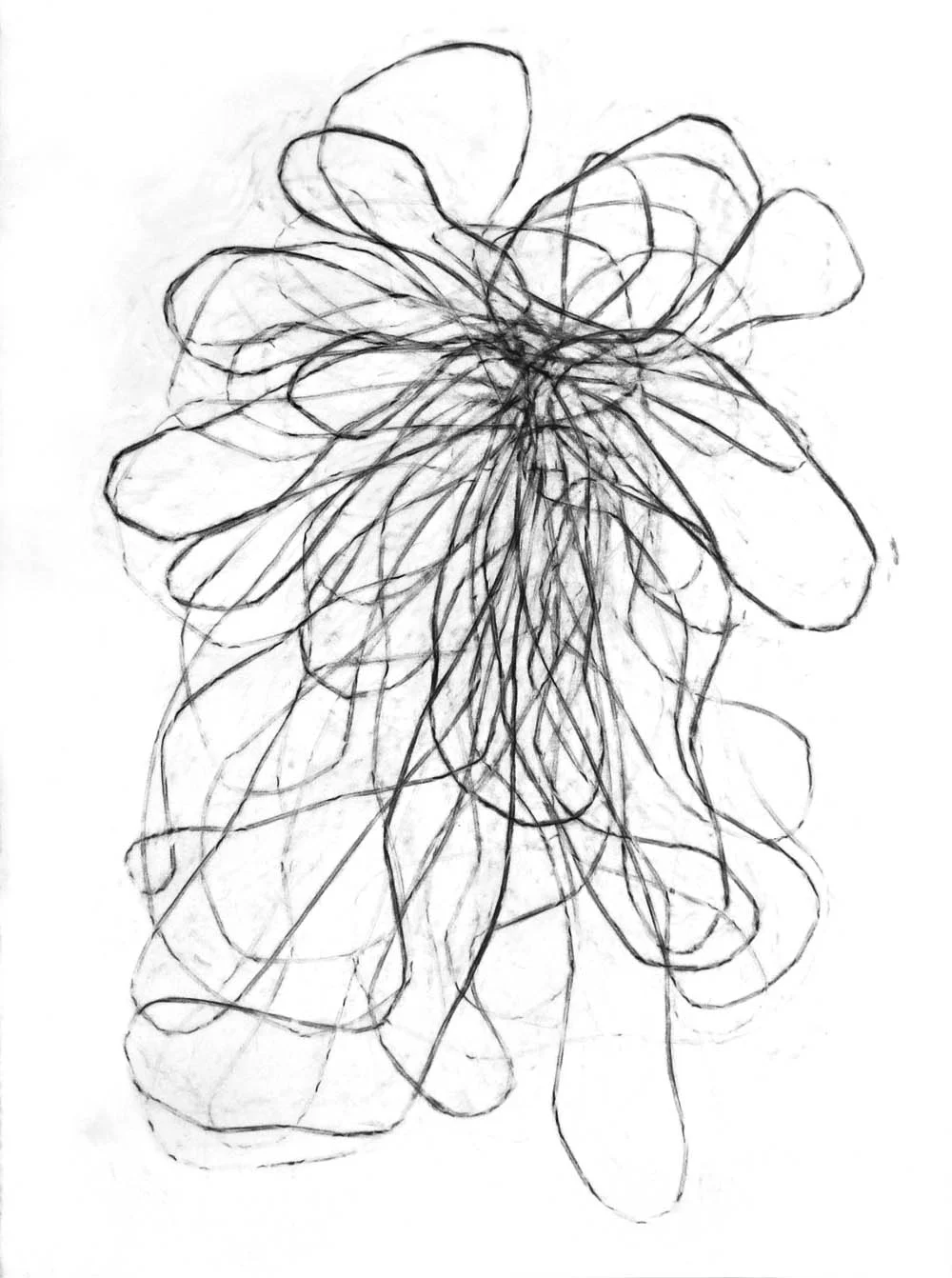Entwine 5