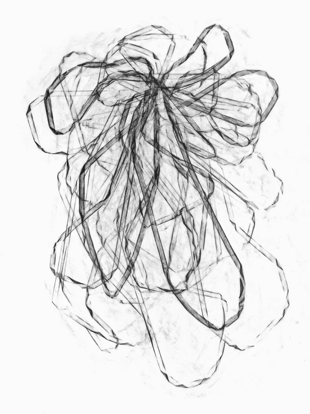 Entwine 6
