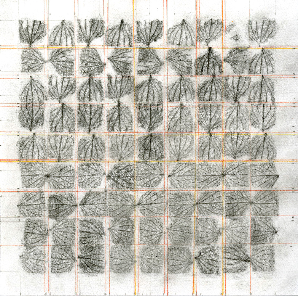 botanicals 002 EM.jpg