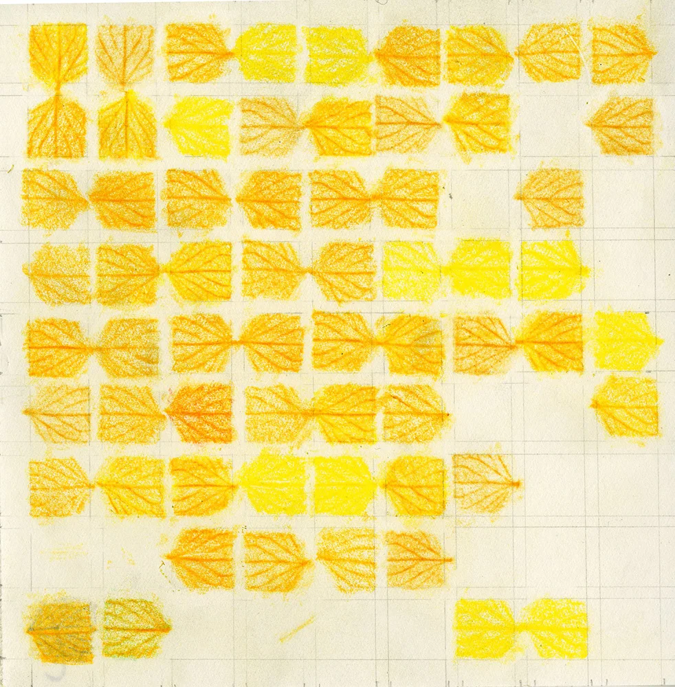 botanicals 003 EM.jpg