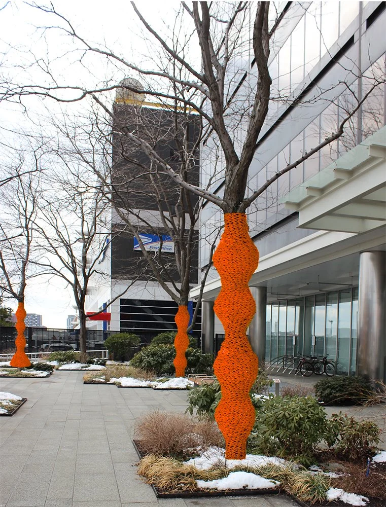 Fidelity entry view orange.jpg