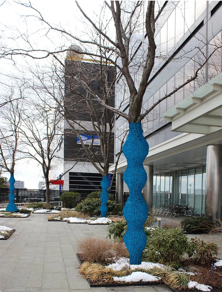 Fidelity entry view blue.jpg