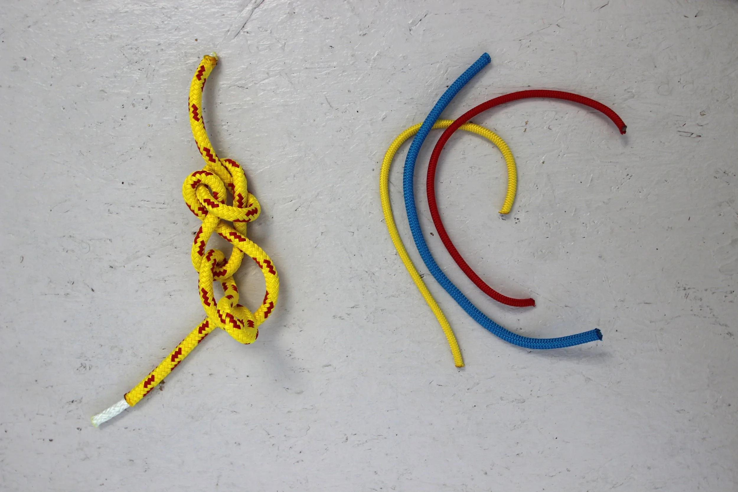 fiedlity extra color samples.jpg