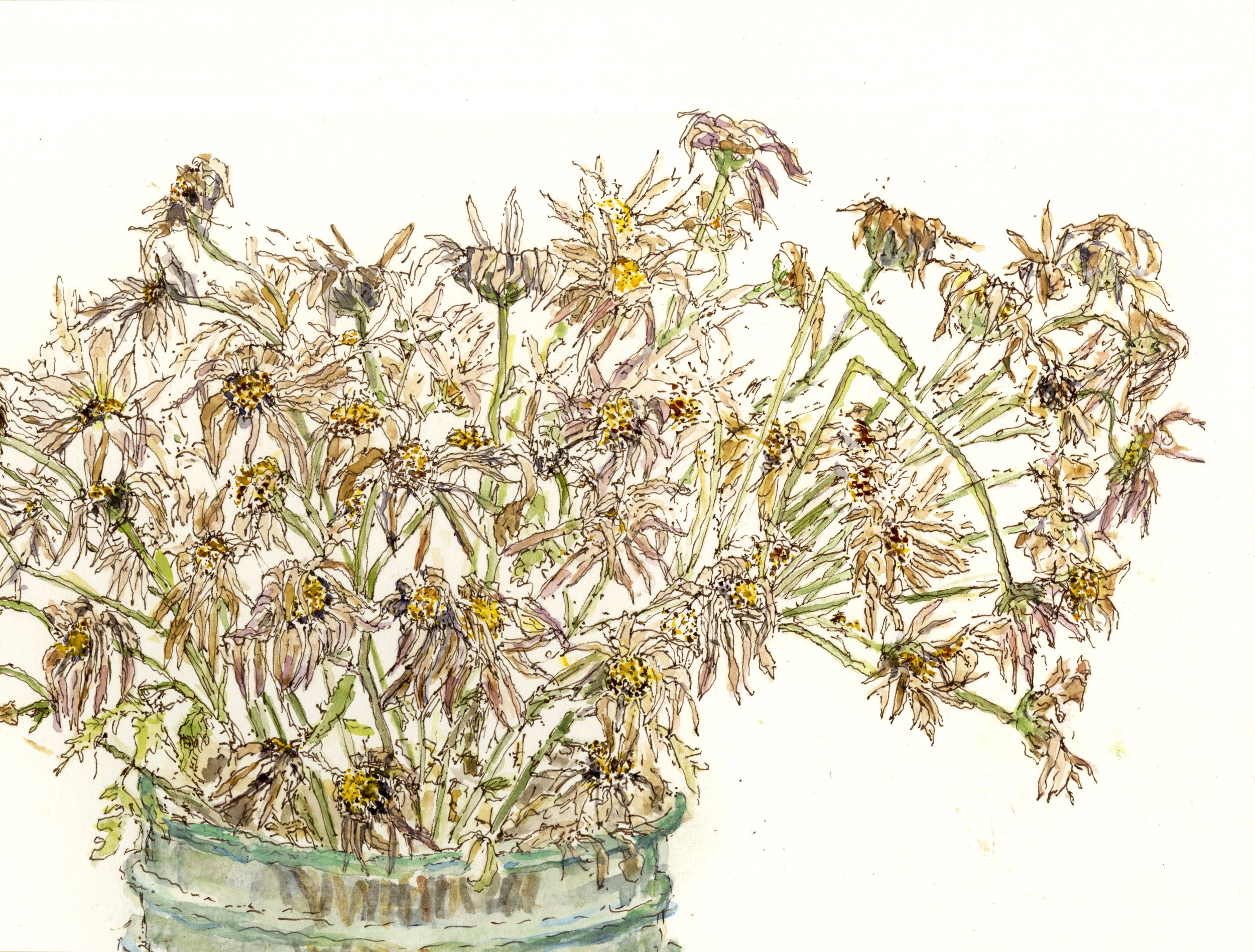 Fall daisys 4  rev. 2psd copy.jpg