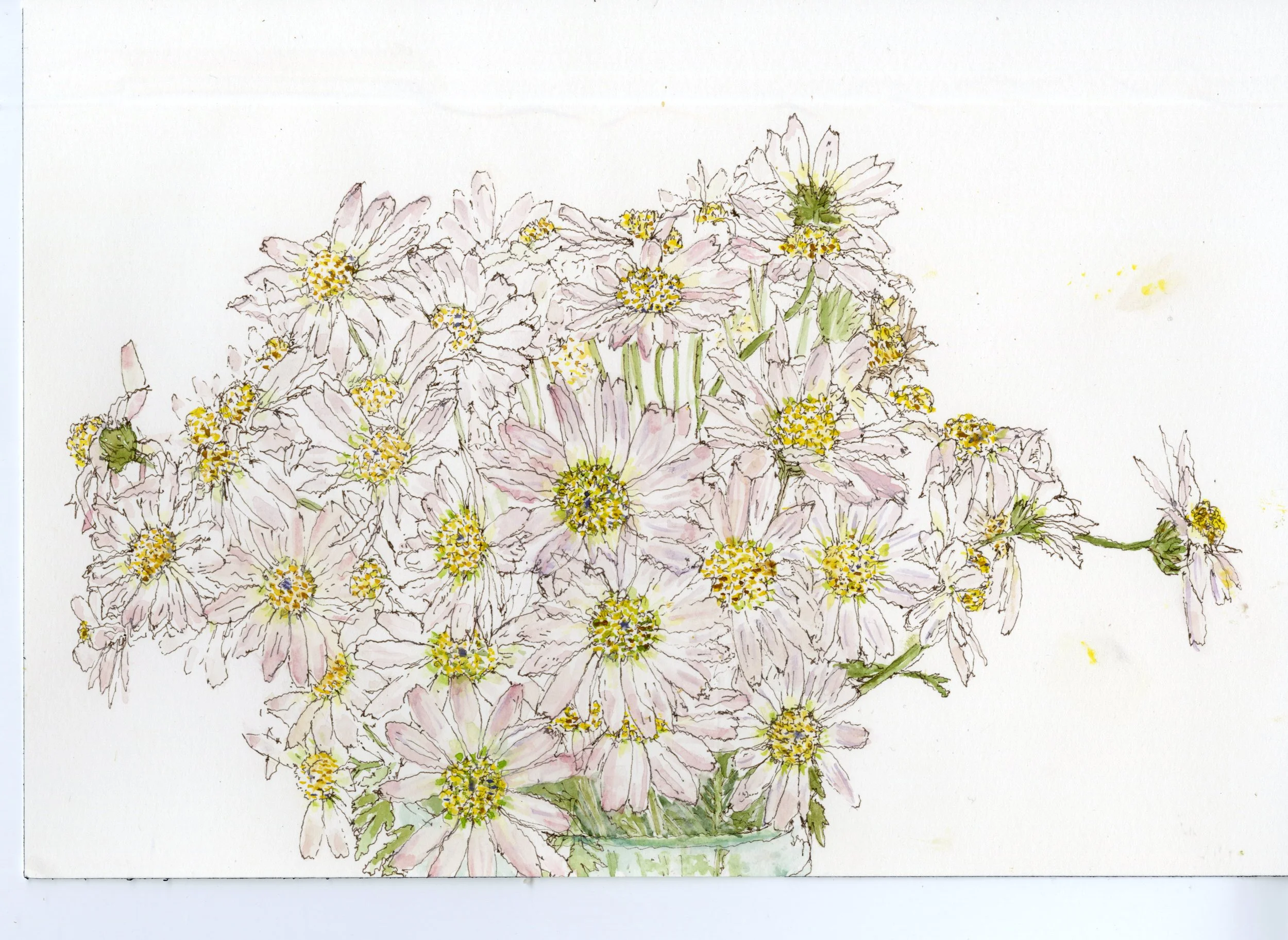 late fall daisys 01 rev.jpg