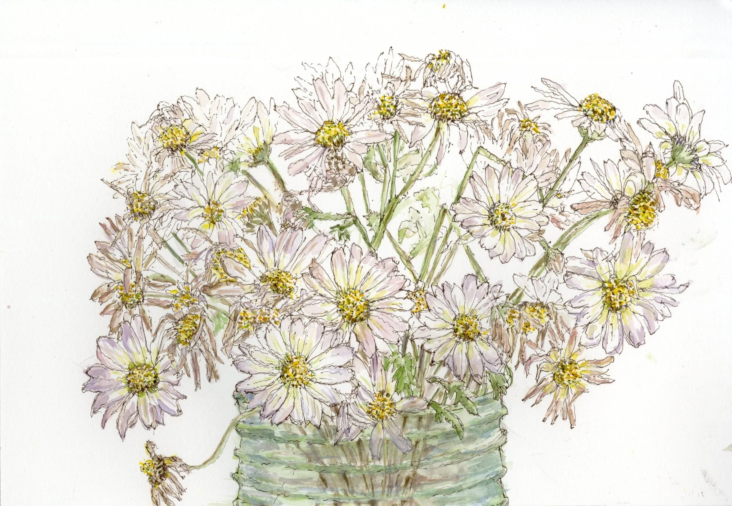 Dying Flowers: Fall Daisies 2