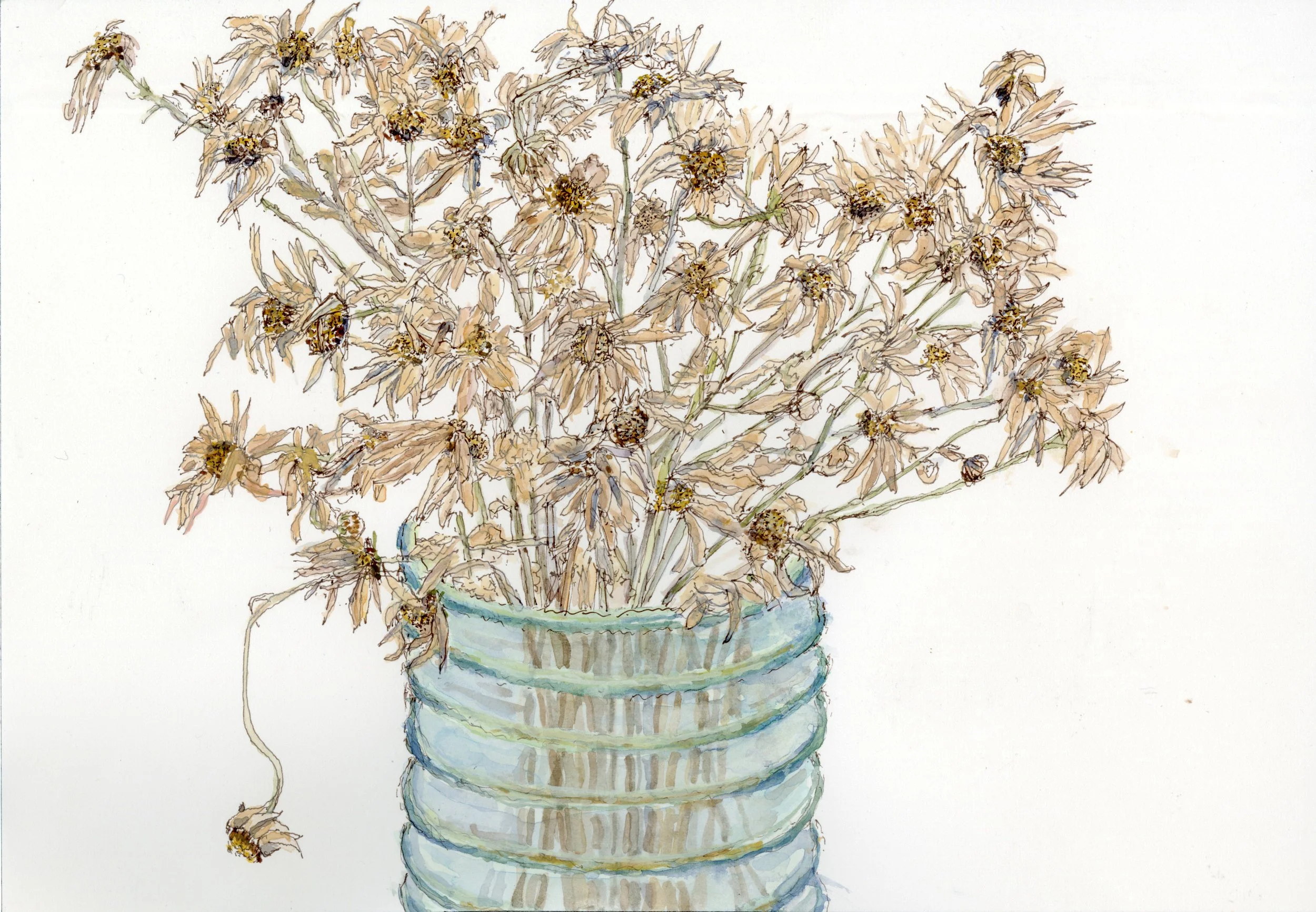 Dying Flowers: Fall Daisies 5