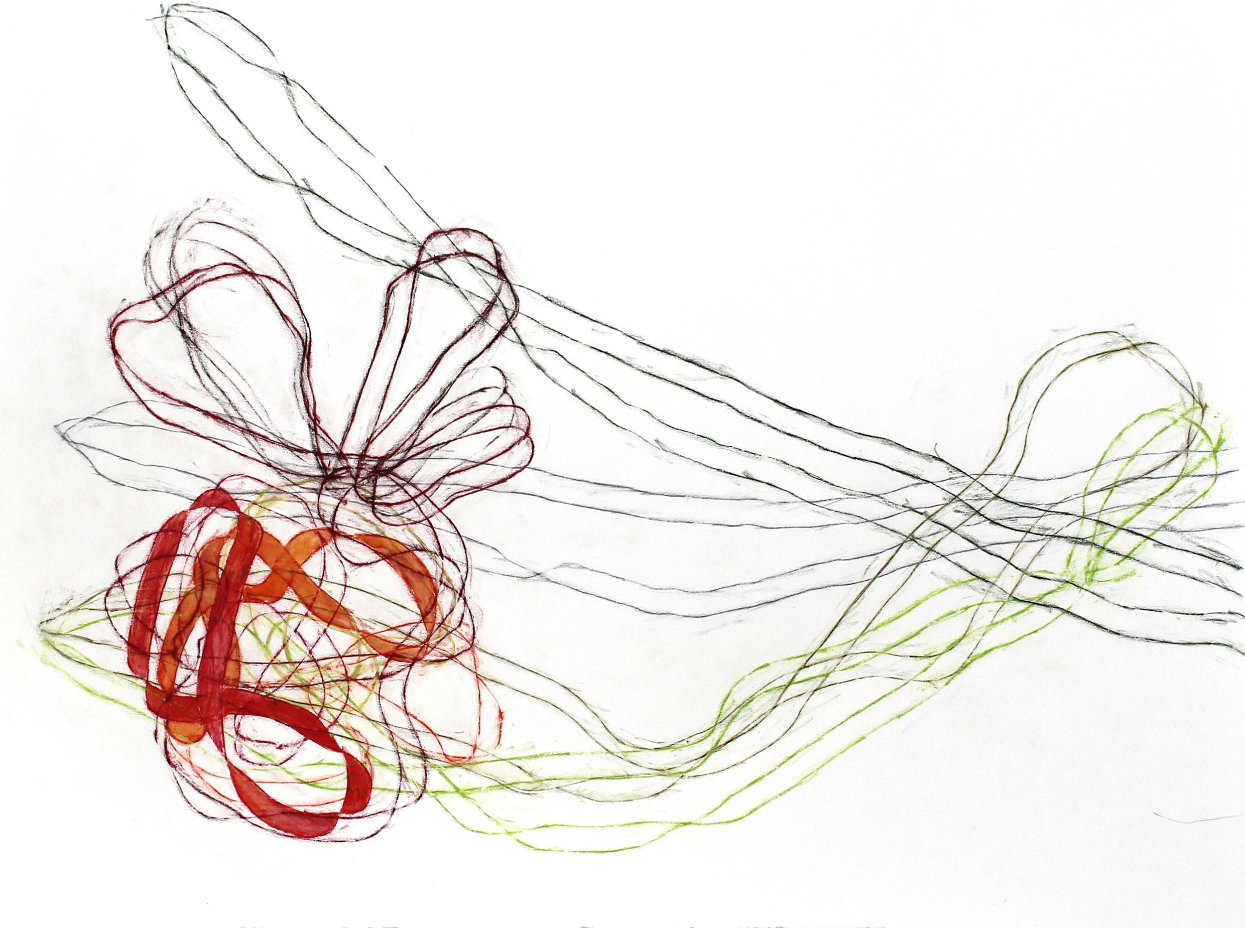 Closed Loop- amarylis copy.jpg