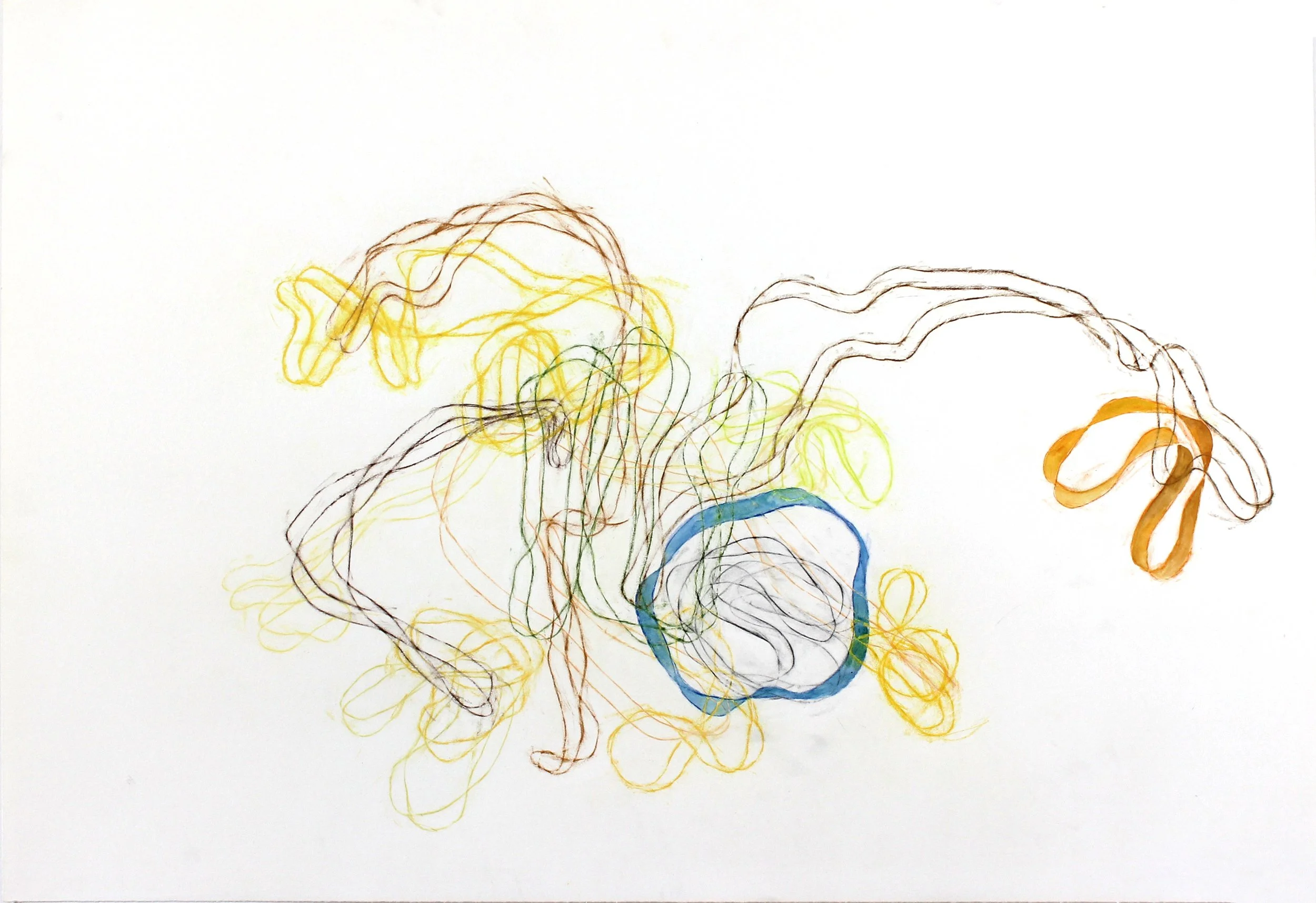 Dying Flowers: Daffodils 2