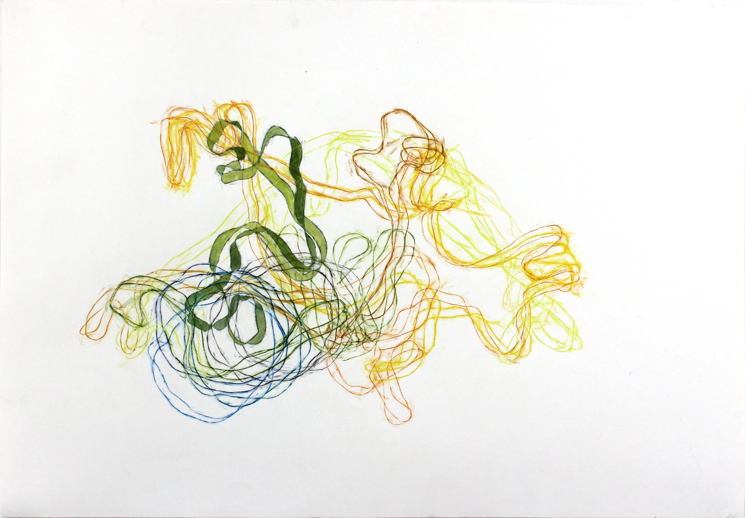 Dying Flowers: Daffodils 1