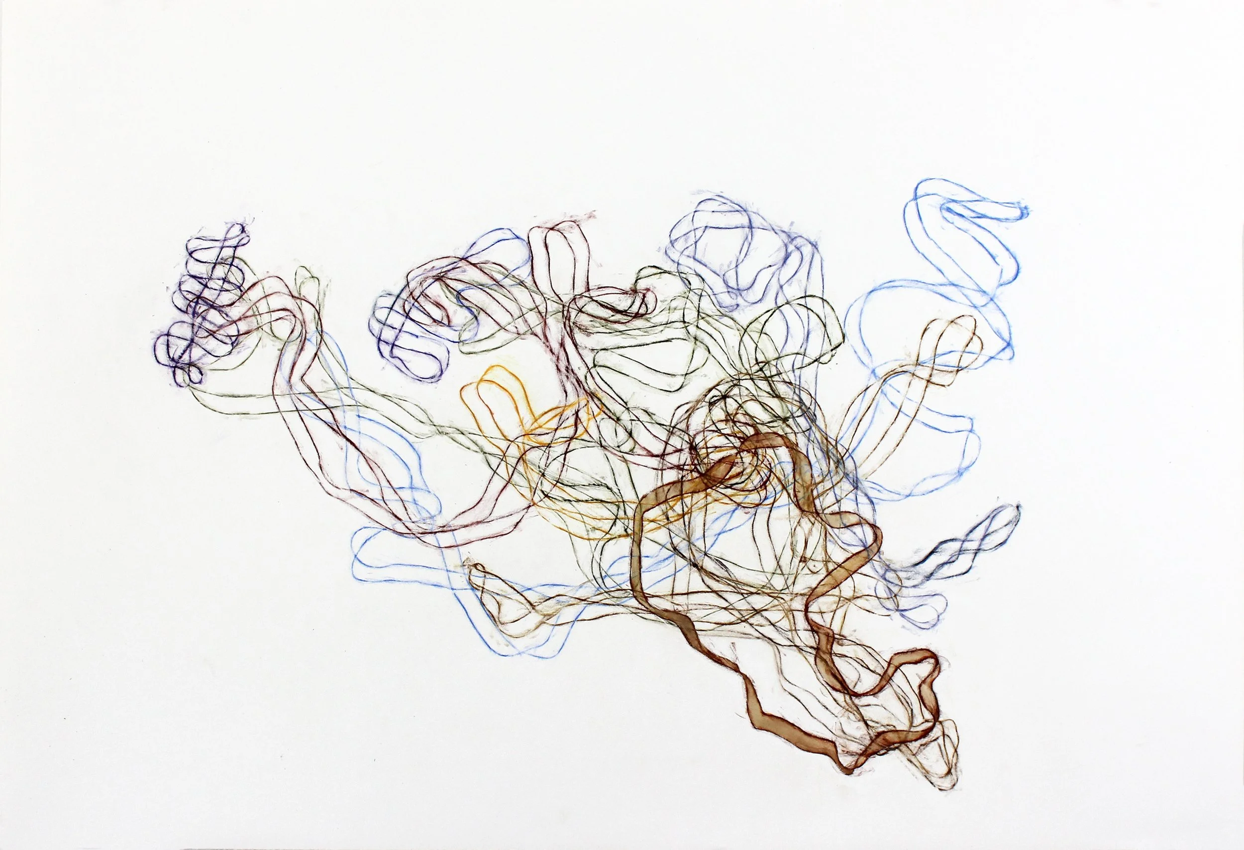 Closed Loop: Delphinium, Salvia, and Marigold